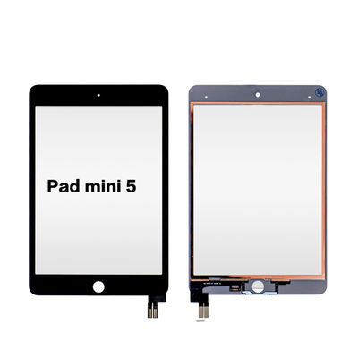 Altre parti di riparazione di vetri compatibili per iPad Mini 5 per riparare lo schermo rotto
